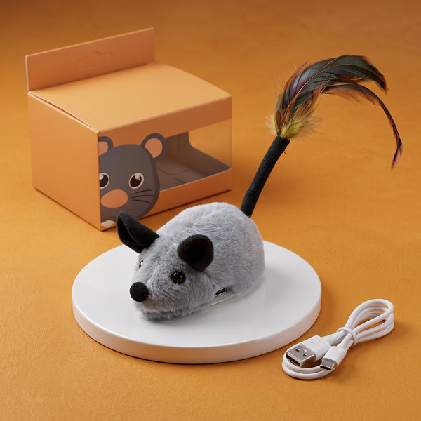 Electric Orange Mouse